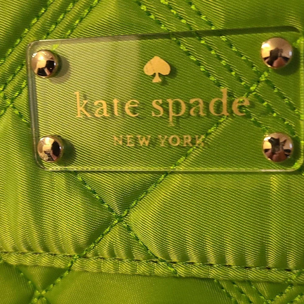 Very cute Kate Spade Summer iPad/Air transport bag.